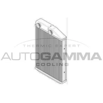 Système de chauffage AUTOGAMMA 107089