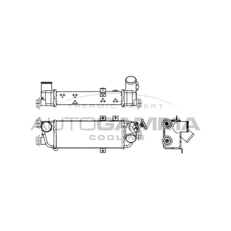 Intercooler, échangeur AUTOGAMMA 107104