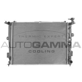 Radiateur, refroidissement du moteur AUTOGAMMA 107118