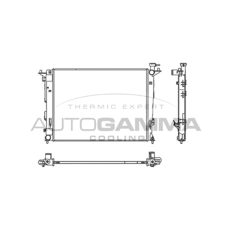Radiateur, refroidissement du moteur AUTOGAMMA 107119