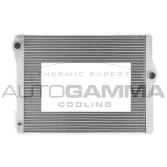 Radiateur, refroidissement du moteur AUTOGAMMA 107128