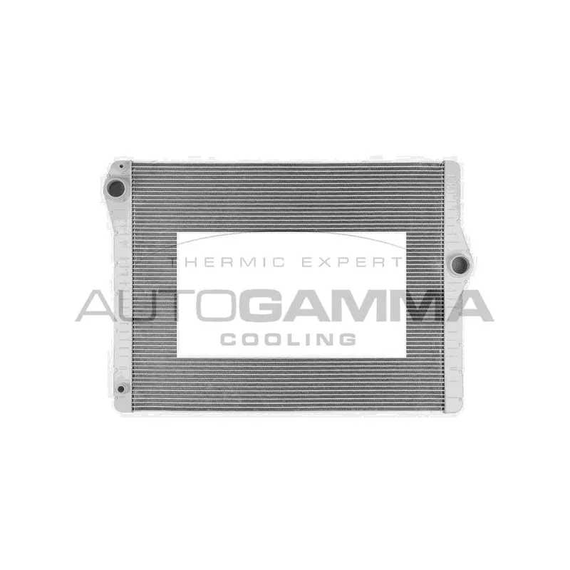 Radiateur, refroidissement du moteur AUTOGAMMA 107128