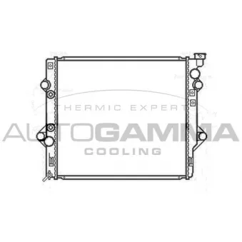 Radiateur, refroidissement du moteur AUTOGAMMA 107135