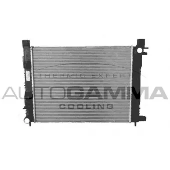 Radiateur, refroidissement du moteur AUTOGAMMA 107146