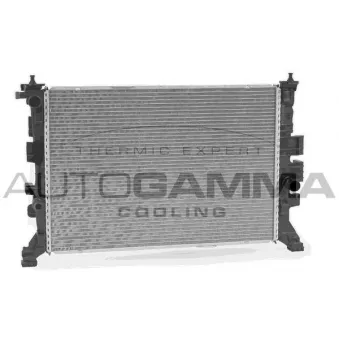 Radiateur, refroidissement du moteur AUTOGAMMA 107164