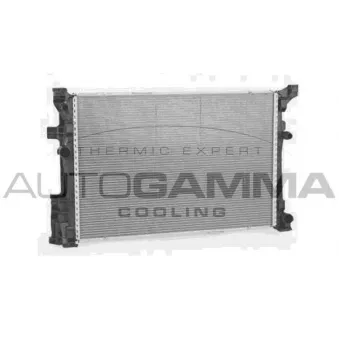 Radiateur, refroidissement du moteur AUTOGAMMA 107165