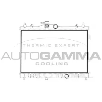 Radiateur, refroidissement du moteur AUTOGAMMA