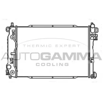 Radiateur, refroidissement du moteur AUTOGAMMA 107205