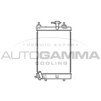 Radiateur, refroidissement du moteur AUTOGAMMA 107207
