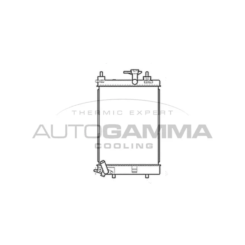 Radiateur, refroidissement du moteur AUTOGAMMA 107207