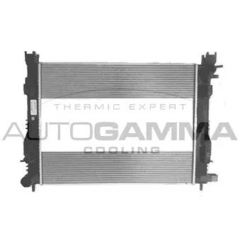 Radiateur, refroidissement du moteur AUTOGAMMA 107210