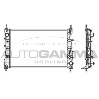 Radiateur, refroidissement du moteur AUTOGAMMA 107213