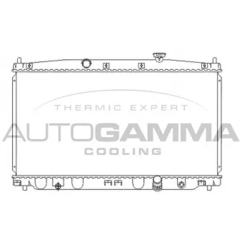 Radiateur, refroidissement du moteur AUTOGAMMA