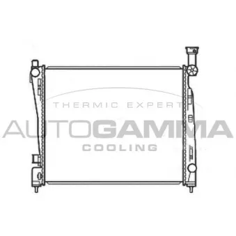 Radiateur, refroidissement du moteur AUTOGAMMA 107221