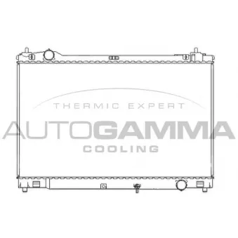 Radiateur, refroidissement du moteur AUTOGAMMA 107228