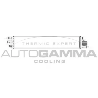 Radiateur, refroidissement du moteur AUTOGAMMA 107233