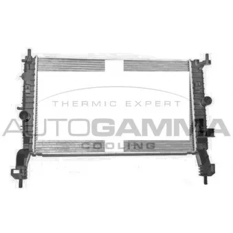 Radiateur, refroidissement du moteur AUTOGAMMA 107236