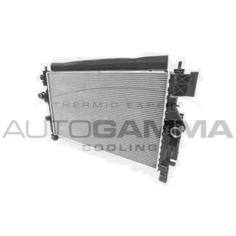 Radiateur, refroidissement du moteur AUTOGAMMA 107237