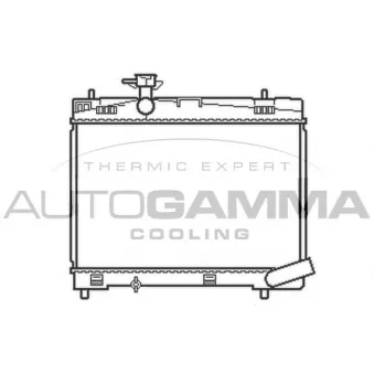 Radiateur, refroidissement du moteur AUTOGAMMA 107242