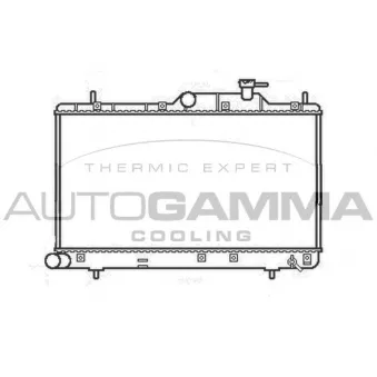 Radiateur, refroidissement du moteur AUTOGAMMA 107249