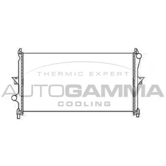 Radiateur, refroidissement du moteur AUTOGAMMA 107250