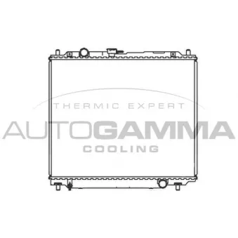 Radiateur, refroidissement du moteur AUTOGAMMA 107251