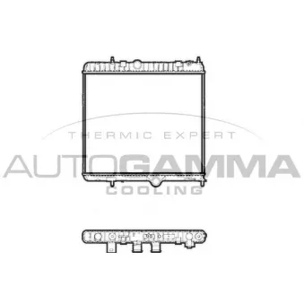 Radiateur, refroidissement du moteur AUTOGAMMA 107254