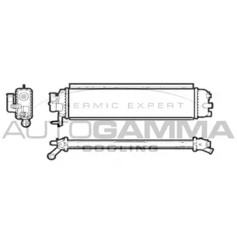 Radiateur, refroidissement du moteur AUTOGAMMA 107255