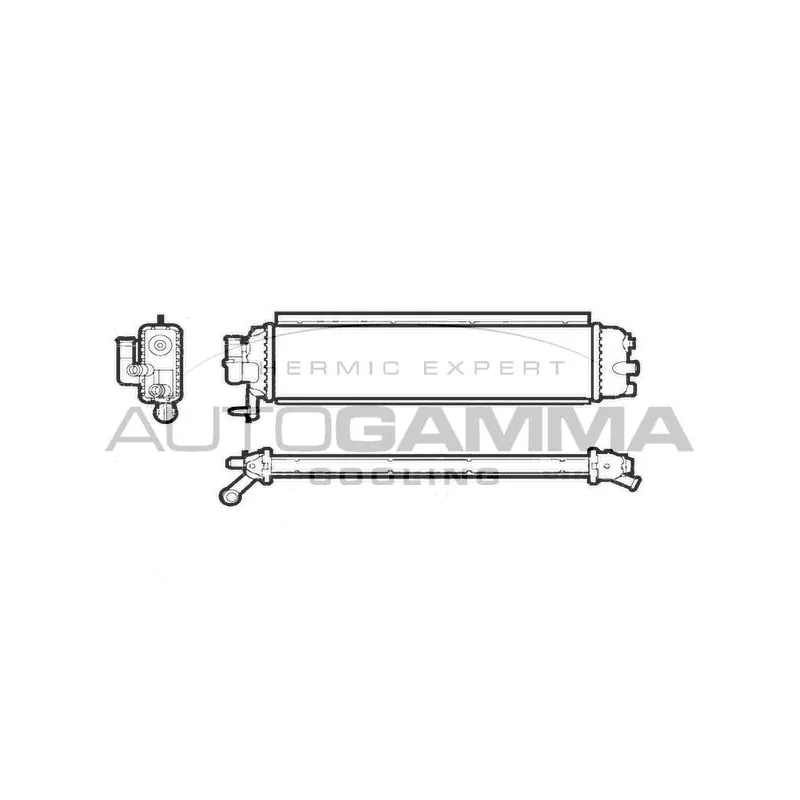 Radiateur, refroidissement du moteur AUTOGAMMA 107255