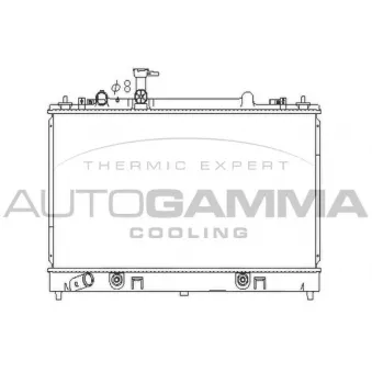 Radiateur, refroidissement du moteur AUTOGAMMA 107281