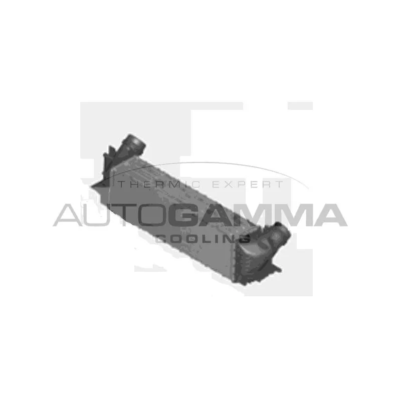 Intercooler, échangeur AUTOGAMMA 107302
