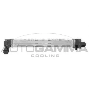 Intercooler, échangeur AUTOGAMMA 107308