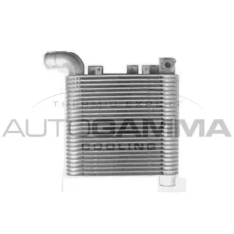 Intercooler, échangeur AUTOGAMMA 107321