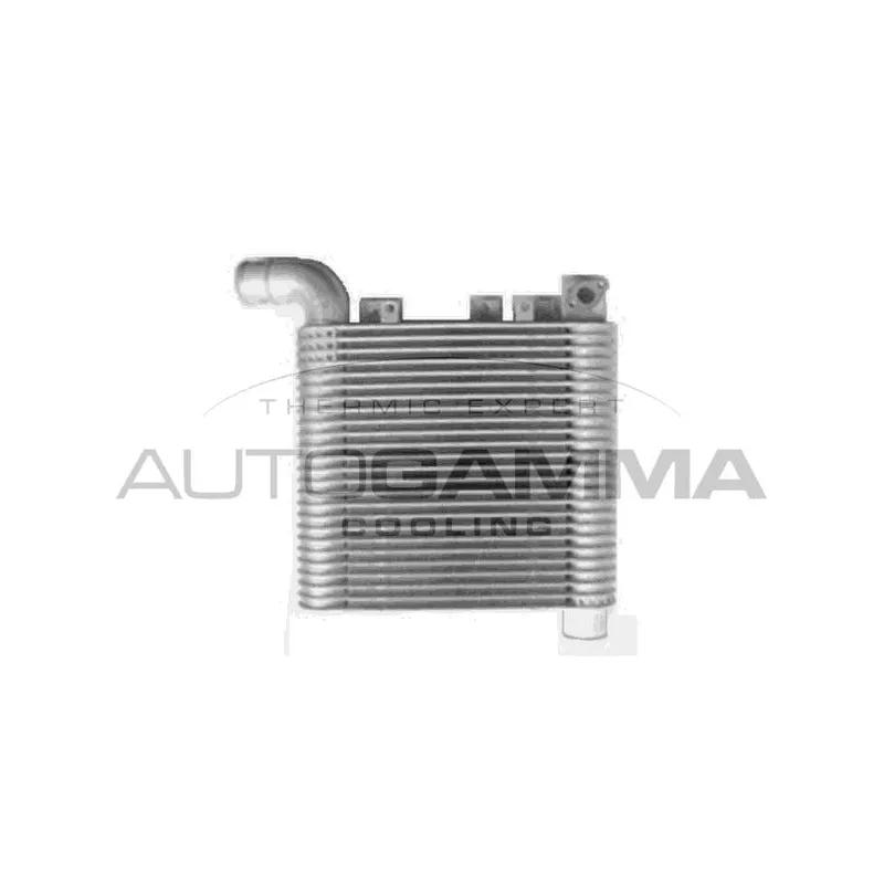 Intercooler, échangeur AUTOGAMMA 107321