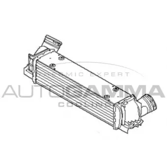 Intercooler, échangeur AUTOGAMMA 107334