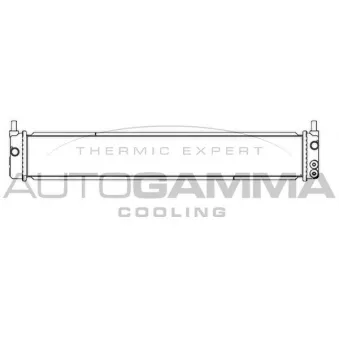 Radiateur, refroidissement du moteur AUTOGAMMA 107363