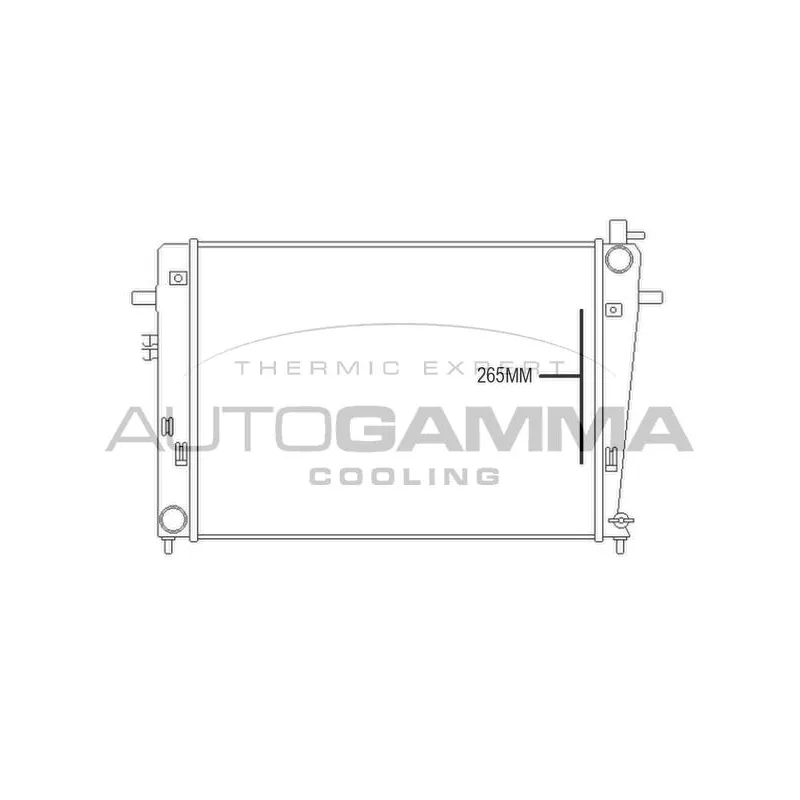 Radiateur, refroidissement du moteur AUTOGAMMA 107375
