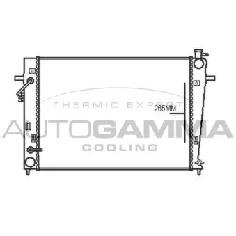 Radiateur, refroidissement du moteur AUTOGAMMA 107376