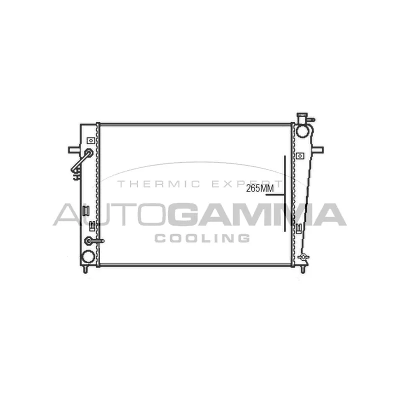 Radiateur, refroidissement du moteur AUTOGAMMA 107376