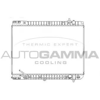 Radiateur, refroidissement du moteur AUTOGAMMA 107382