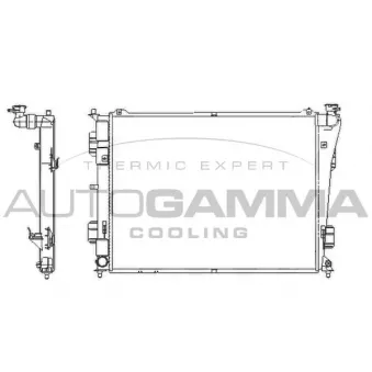 Radiateur, refroidissement du moteur AUTOGAMMA 107389