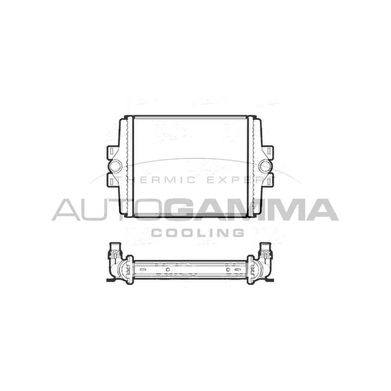 Radiateur, refroidissement du moteur AUTOGAMMA 107406