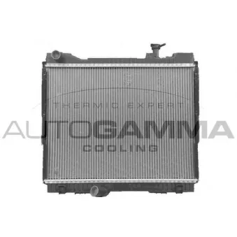 Radiateur, refroidissement du moteur AUTOGAMMA 107408