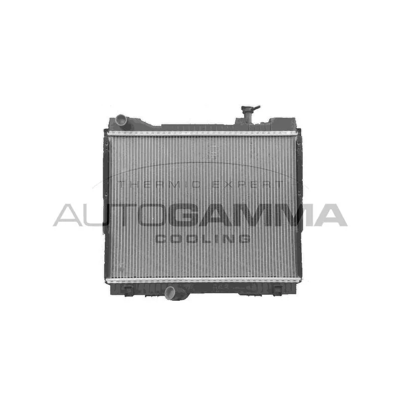 Radiateur, refroidissement du moteur AUTOGAMMA 107408