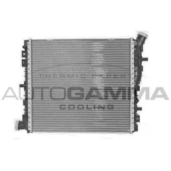 Radiateur, refroidissement du moteur AUTOGAMMA 107421