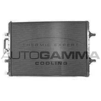 Radiateur, refroidissement du moteur AUTOGAMMA 107422