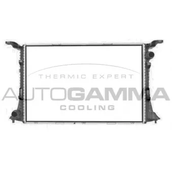 Radiateur, refroidissement du moteur AUTOGAMMA 107423