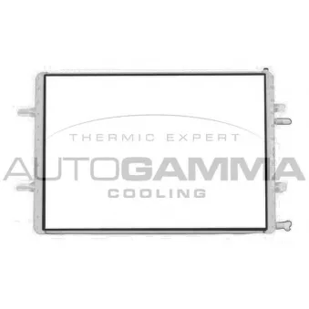 Radiateur, refroidissement du moteur AUTOGAMMA