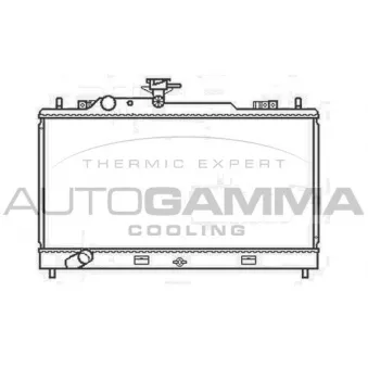 Radiateur, refroidissement du moteur AUTOGAMMA 107426