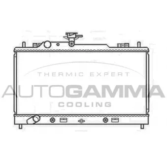 Radiateur, refroidissement du moteur AUTOGAMMA